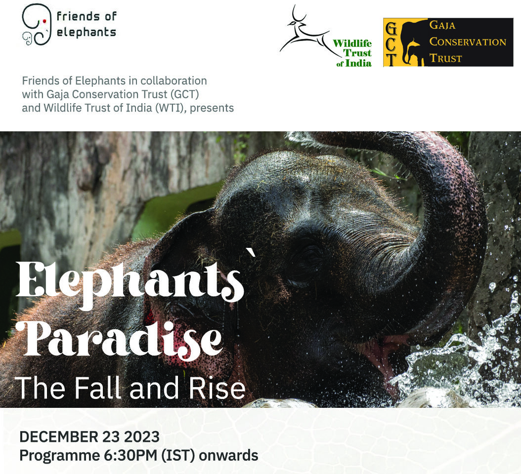 Elephants` Paradise”(The Fall and Rise)